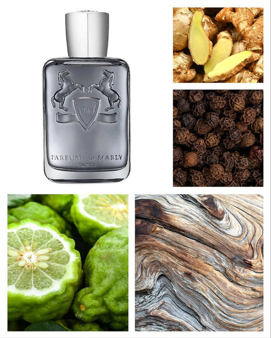 Castley – Parfums de Marly